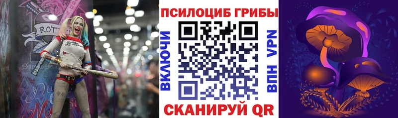 Псилоцибиновые грибы MAGIC MUSHROOMS  дарнет шоп  площадка состав  Сураж 